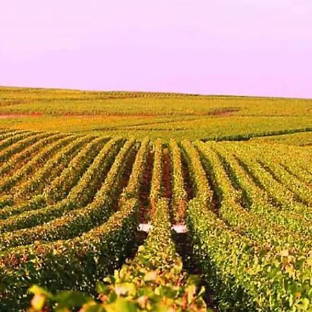 La Memoire De Paulette Ferienhaus