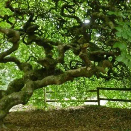 La Memoire De Paulette Ferienhaus