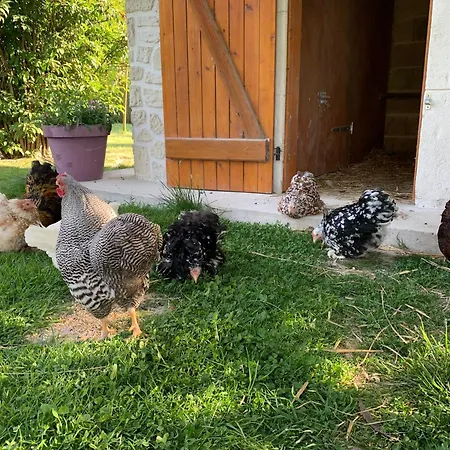 La Memoire De Paulette * Sept-Saulx