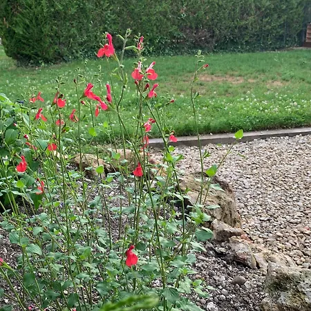La Memoire De Paulette Ferienhaus Sept-Saulx